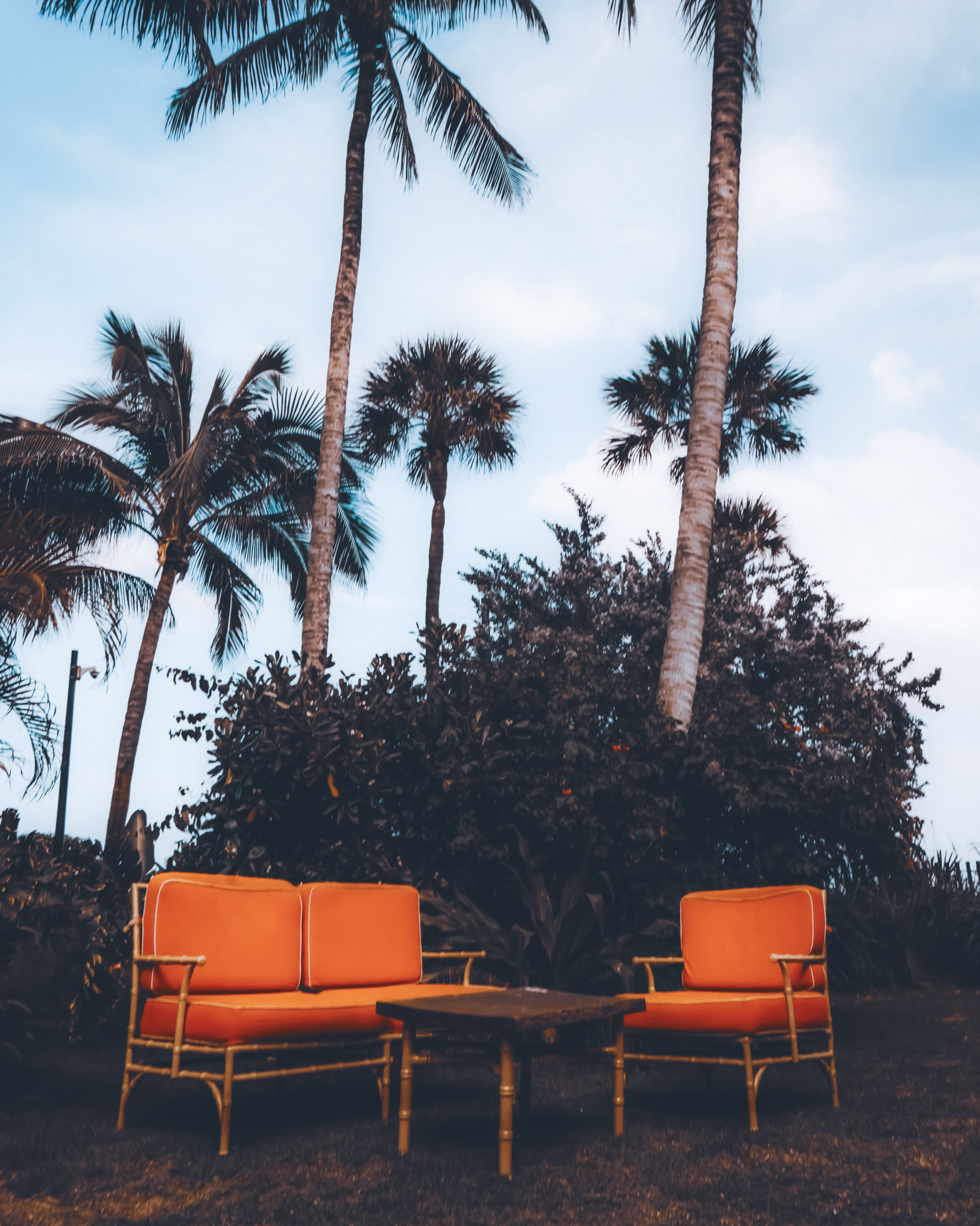 Palm Tree chairs-2